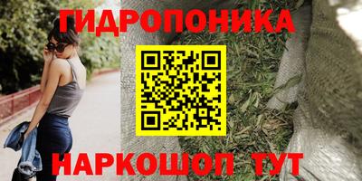 бошки Гусев